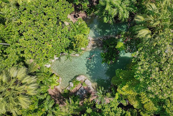 Daintree Pool.