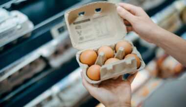 What Are the Healthiest Eggs You Can Buy? A Simple Guide