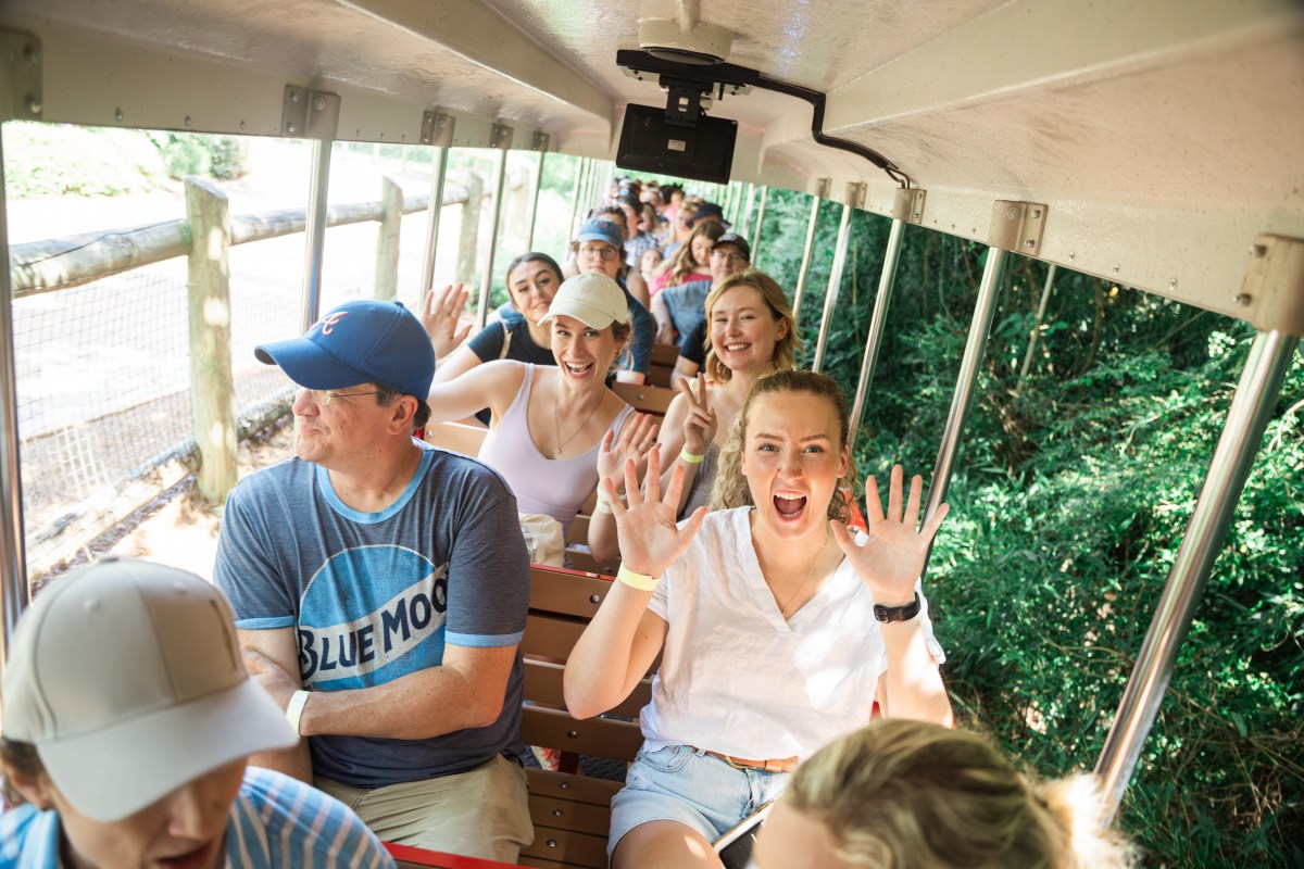 BirminghamZoo 18 Want to work with Bham Now + Hville Blast? These 3 jobs might be for you