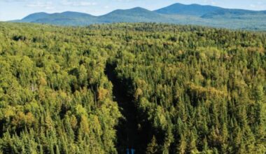 New book details how Maine’s North Woods was protected