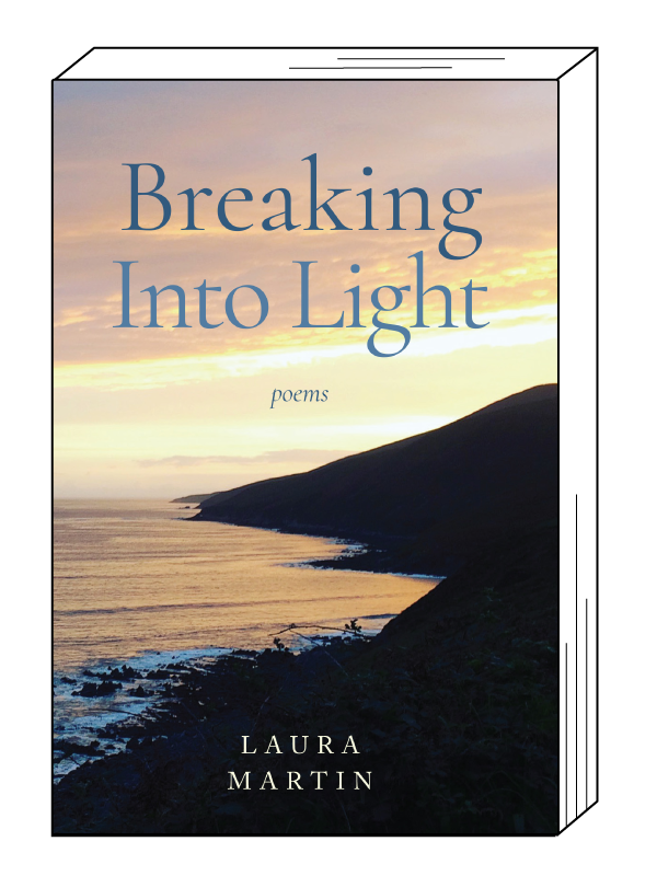 Break-Into-Light-Book - Washingtonian