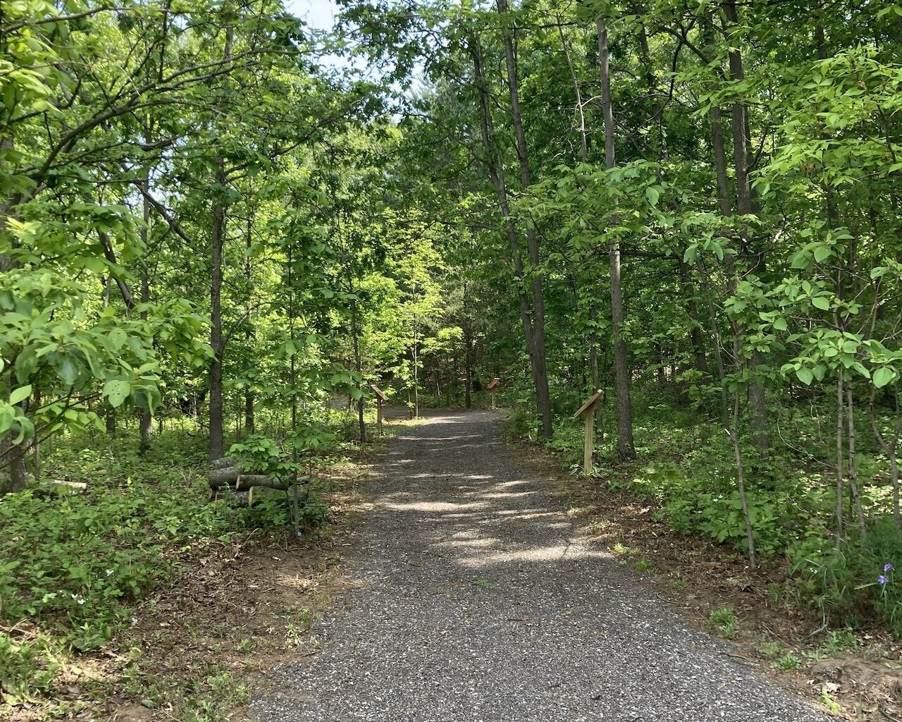 New storybook trail opens for families in Southwest Michigan