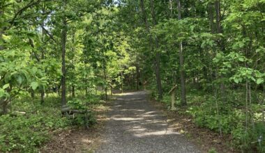 New storybook trail opens for families in Southwest Michigan