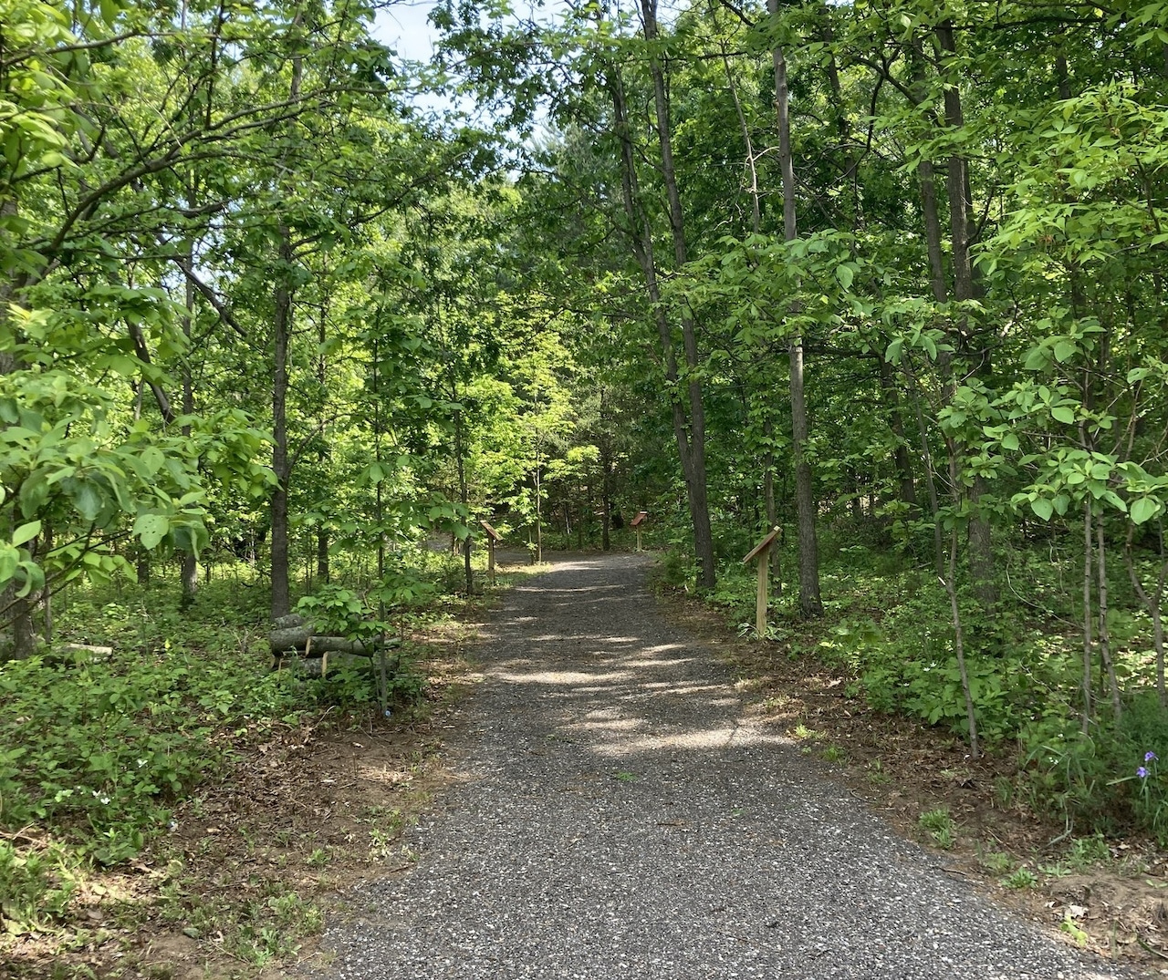 Storybook trail in Lawton