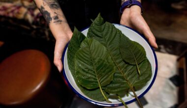 The drink with opioid-like effects being sold over the counter - The Independent