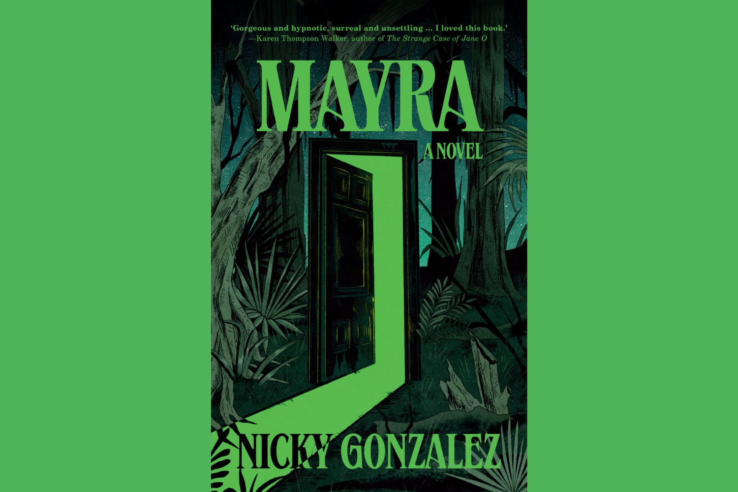 Review: ‘Mayra’ by Nicky Gonzalez