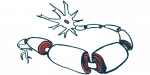 An illustration of neurons covered by the myelin sheath.