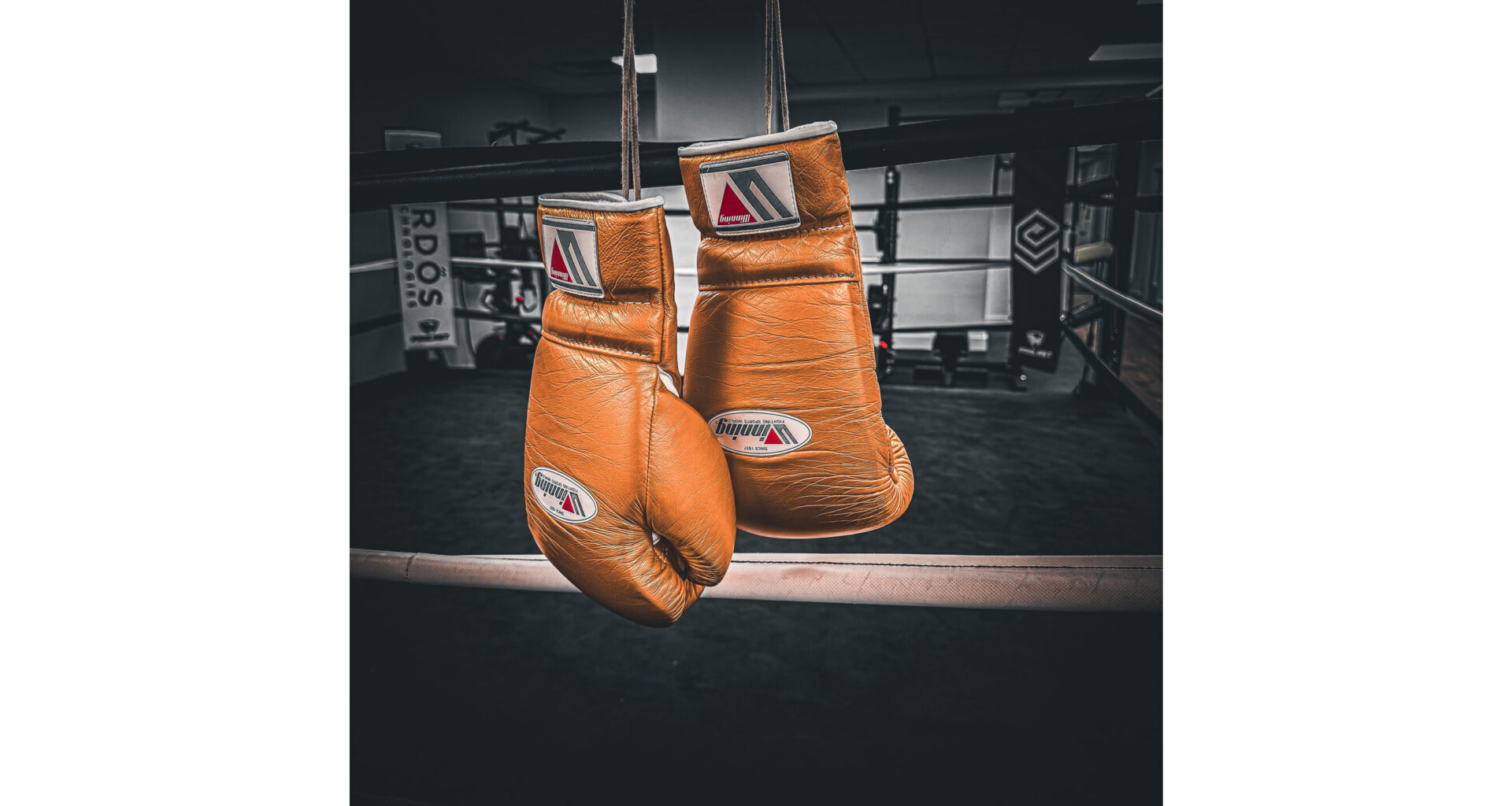 Boxing Aficionado and Tech CEO Dan Herbatschek Believes Boxing's Move to Netflix Signals a Historic Shift Away from the Pay-Per-View Model