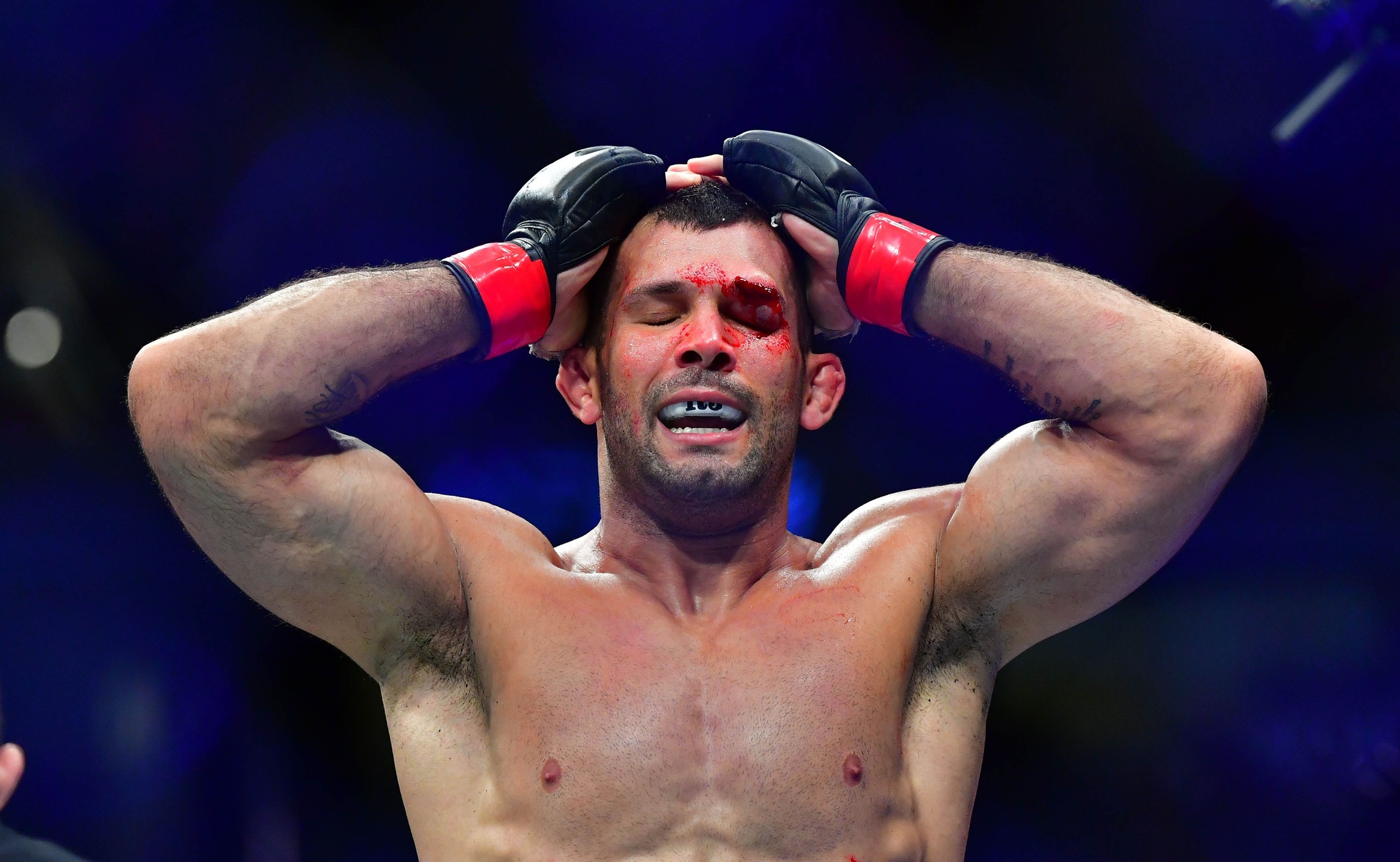 Vieira of the UFC Vieira of the UFC