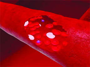 Study finds Covid may have aged blood vessels by 5 years, especially among women — The Indian Panorama