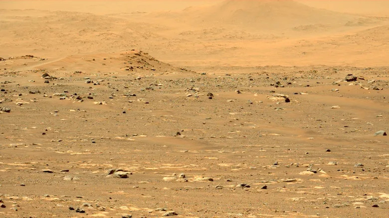 Photo of Mars surface