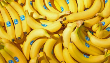 Yahoo lifestyle home