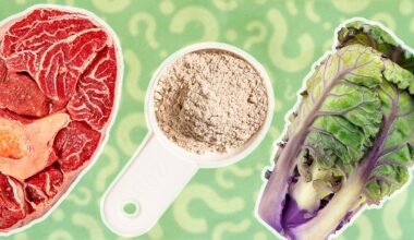 8 Myths About Protein You Thought Were True