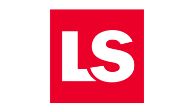 Employment Considerations for Early-Stage Companies