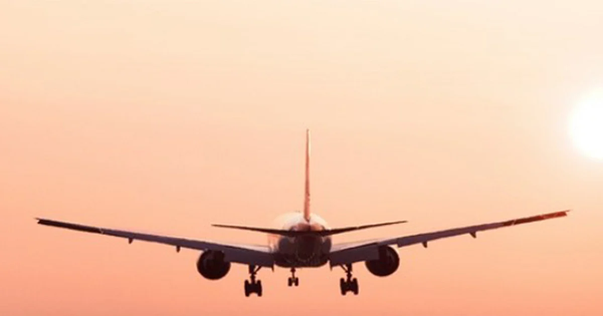 Pilots Association asks Ministry to withdraw paper regarding employment of pilots abroad