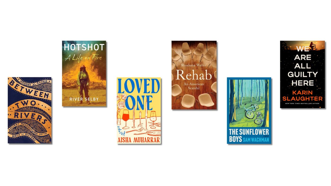 New books this week cover rehab, wildfires, and a new thriller : NPR