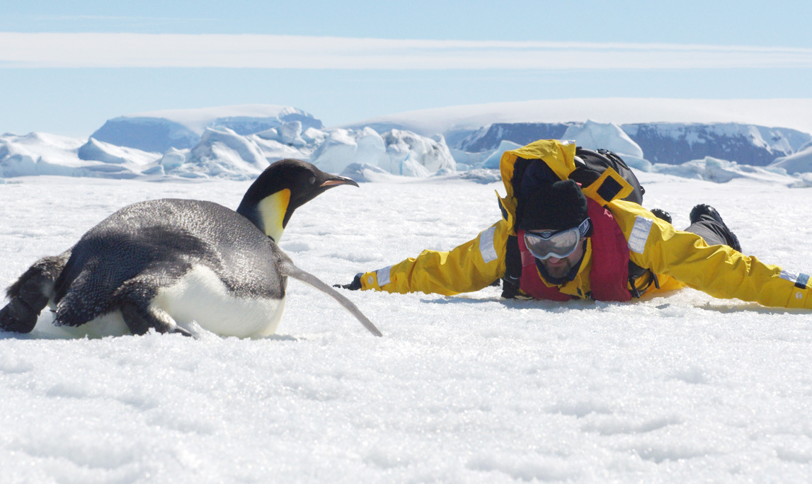 NINTCHDBPICT001025015899