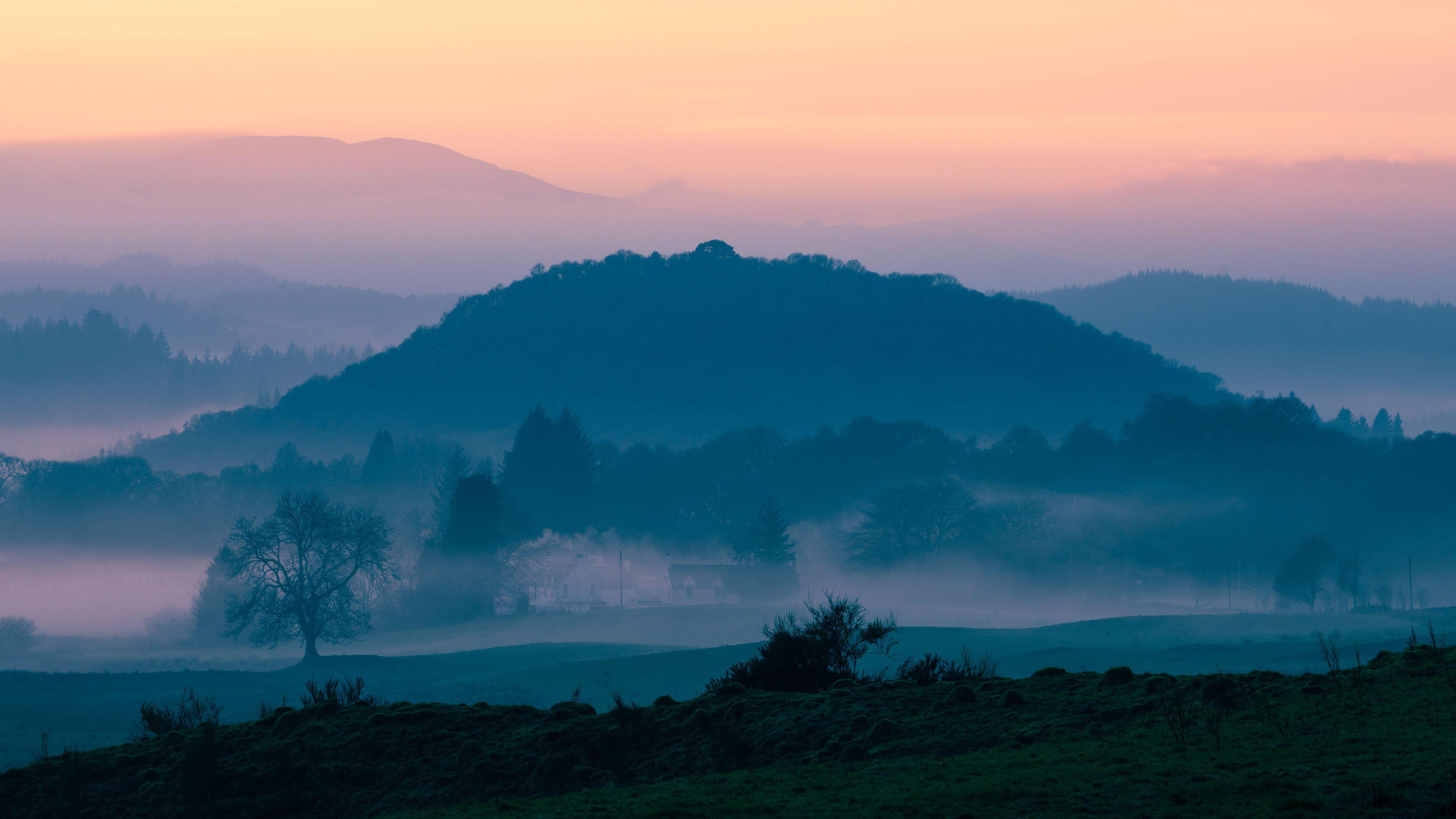 Scotland’s 5 most mystical forests