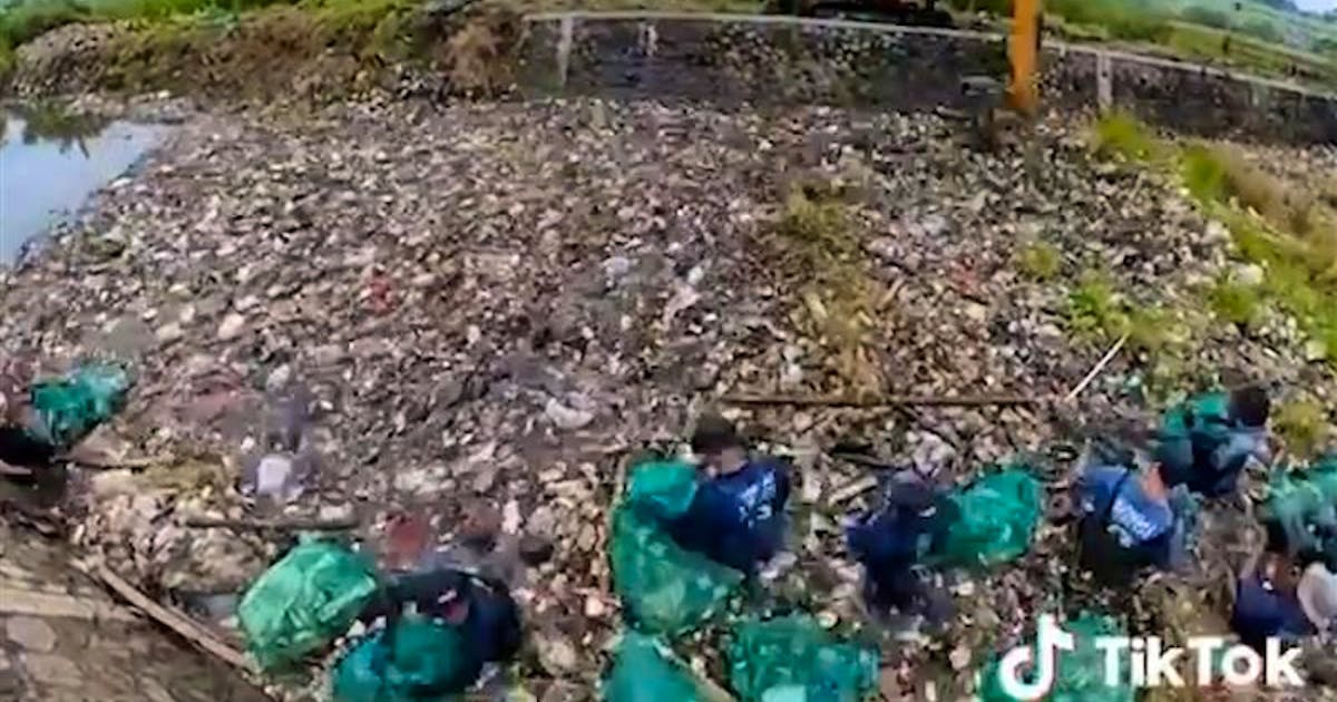 World Clean-Up Day: Just as the internet forgets nothing, nature forgets nothing too