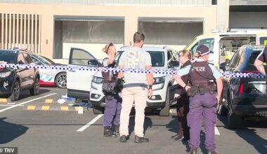 A five-month-old baby girl was killed when she was hit by a reversing car in the Minto Mall car park on Monday afternoon