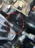Driver Pops Car Hood And Finds More Babies Inside Than She Thought Possible