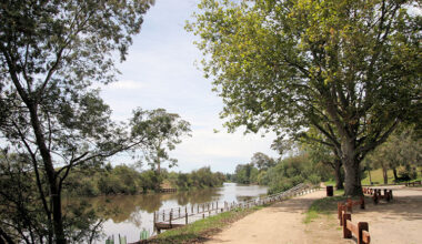 AFL investigation - Bairnsdale Advertiser