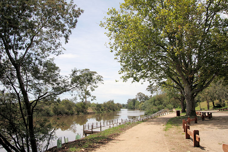 AFL investigation - Bairnsdale Advertiser