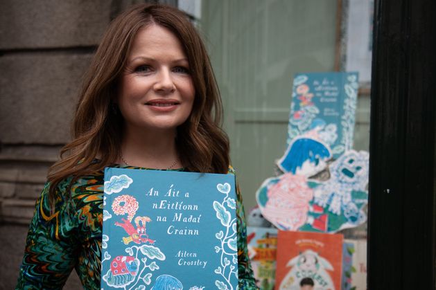 New children’s book by Wicklow author features pictures of Wexford beach