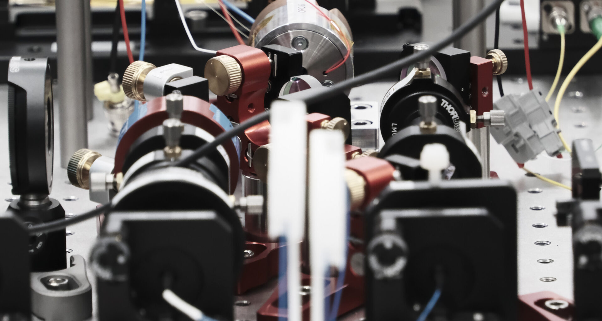 Researchers cut the time for a learning task from 20 million years to 15 minutes