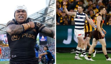 Sports Wrapped: Dominant Felines (and a shark)