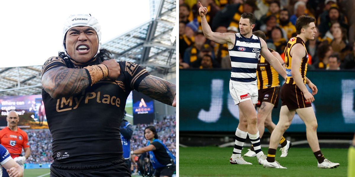 Sports Wrapped: Dominant Felines (and a shark)