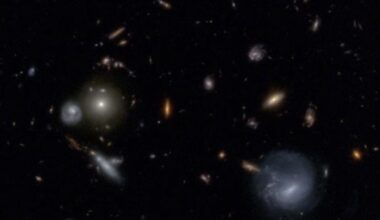 This JWST image shows a variety of shapes and colours of galaxies. The MINERVA (Medium-band Imaging with NIRCam to Explore ReVolutionary Astrophysics) program is using the JWST to find rare and unusual galaxies in the early Universe. Image Credit: Courtesy of Danilo Marchesini/MINERVA