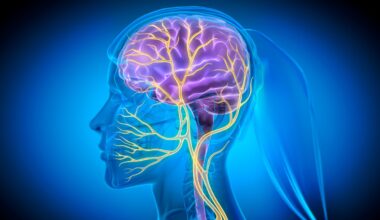 The new secret to managing stress: the ‘vagus nerve’