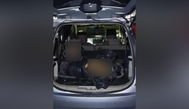 The tiger was found to have suffered severe injuries, possibly from a snare trap, as well as six gunshot wounds to the head, believed to have caused its death.