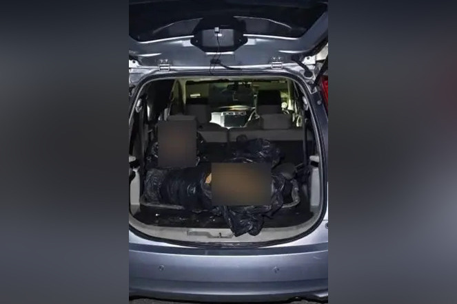 The tiger was found to have suffered severe injuries, possibly from a snare trap, as well as six gunshot wounds to the head, believed to have caused its death.