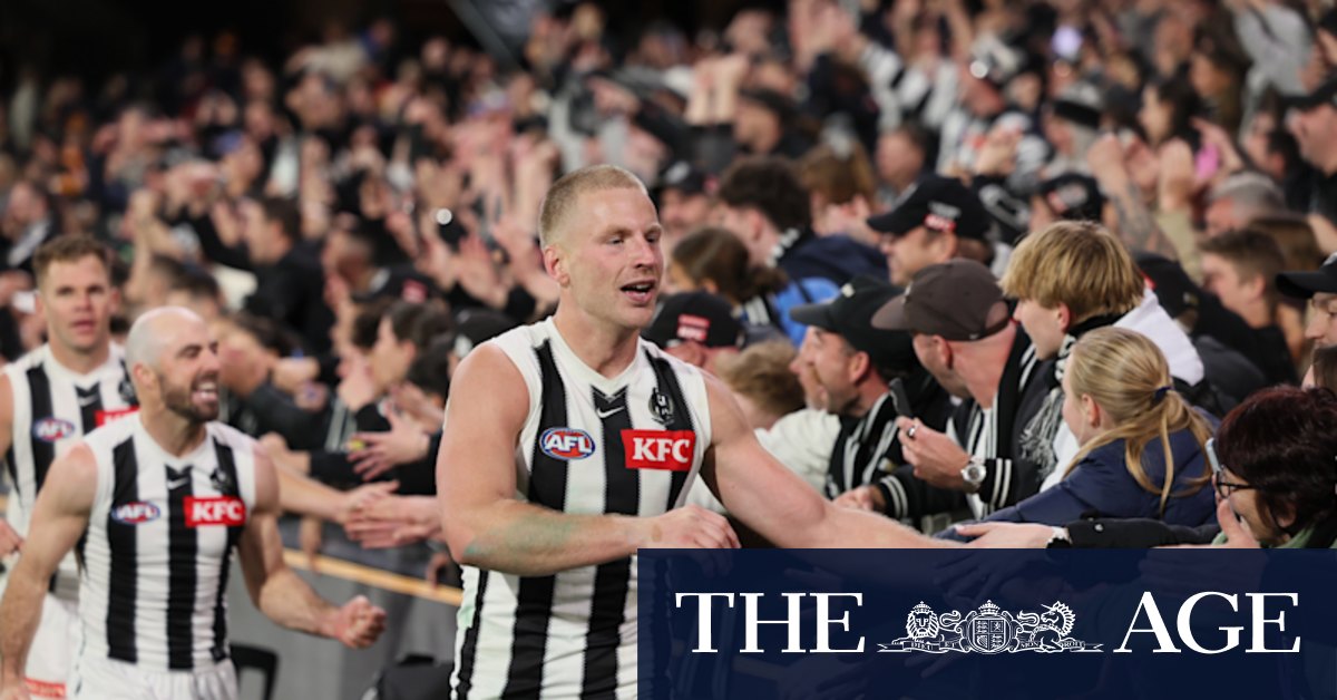 Collingwood Magpies cult hero Billy Frampton on dealing with online hate after 2023 premiership