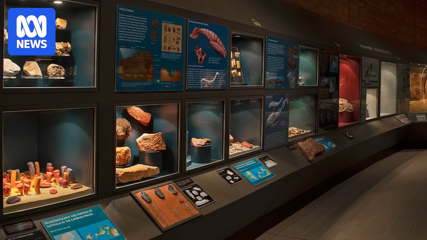 Museum of Central Australia closes amid declining visitation