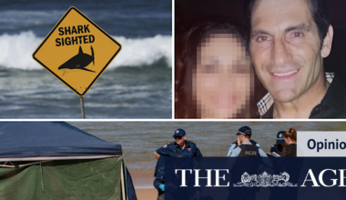 There was a fatal accident involving a shark. Then politics trawled a tragedy