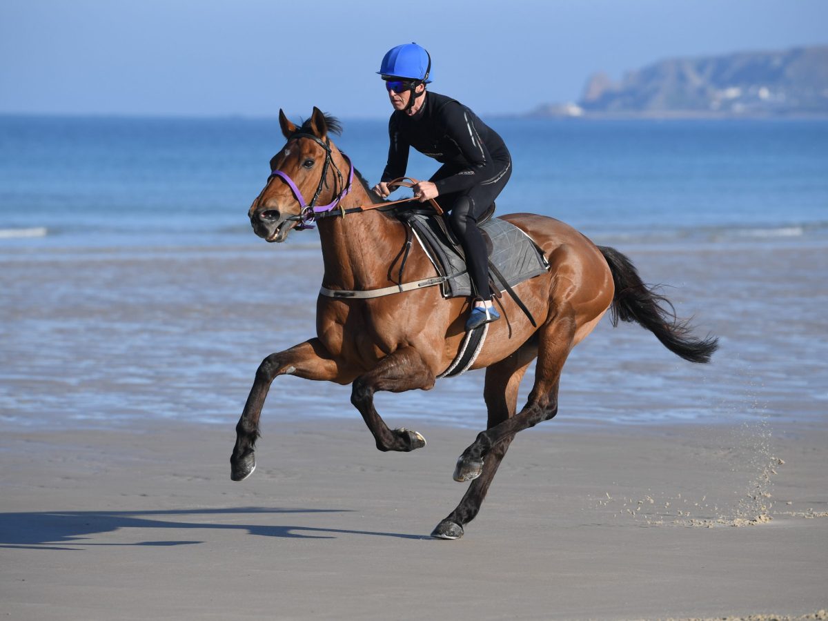 Local horse ‘St Ouen’ set to compete at Dublin’s Laytown Races