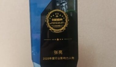 Chinese entrepreneurs pioneering progress in global mobile internet application