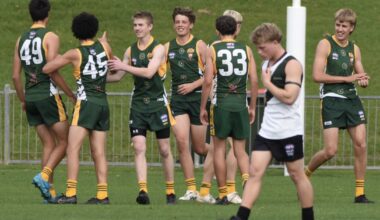 Another year of growth in player numbers