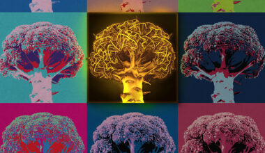 U biochemists create first single-dyed ratiometric biosensor for glycine imaging – @theU