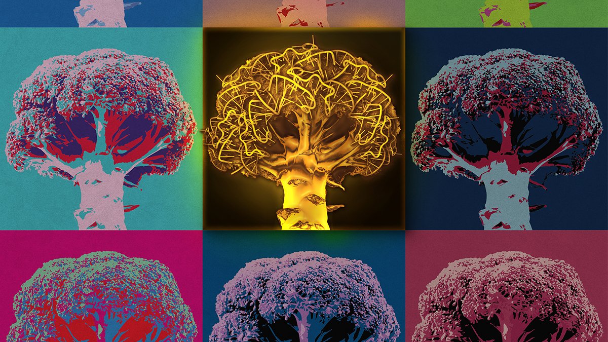 U biochemists create first single-dyed ratiometric biosensor for glycine imaging – @theU