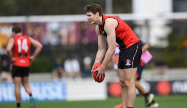 BRILLIANT HAMMELMANN STEERS SHARKS TO PREMIERSHIP GLORY