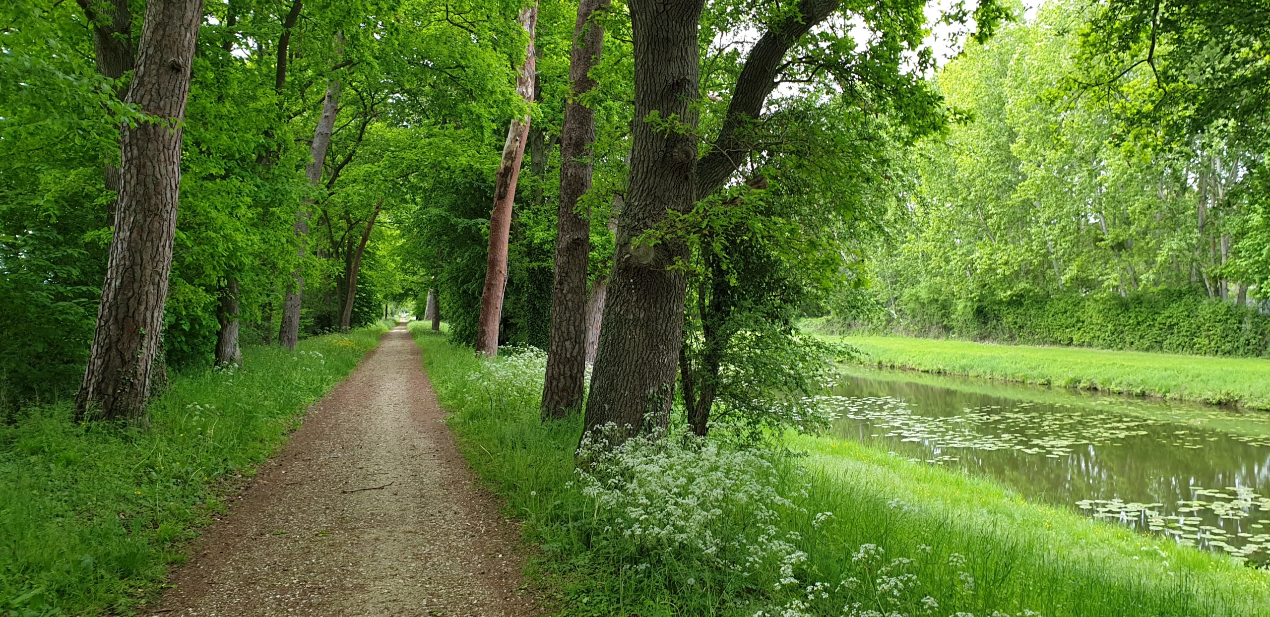 Top 10 Best Cycling Tracks in the World in 2025