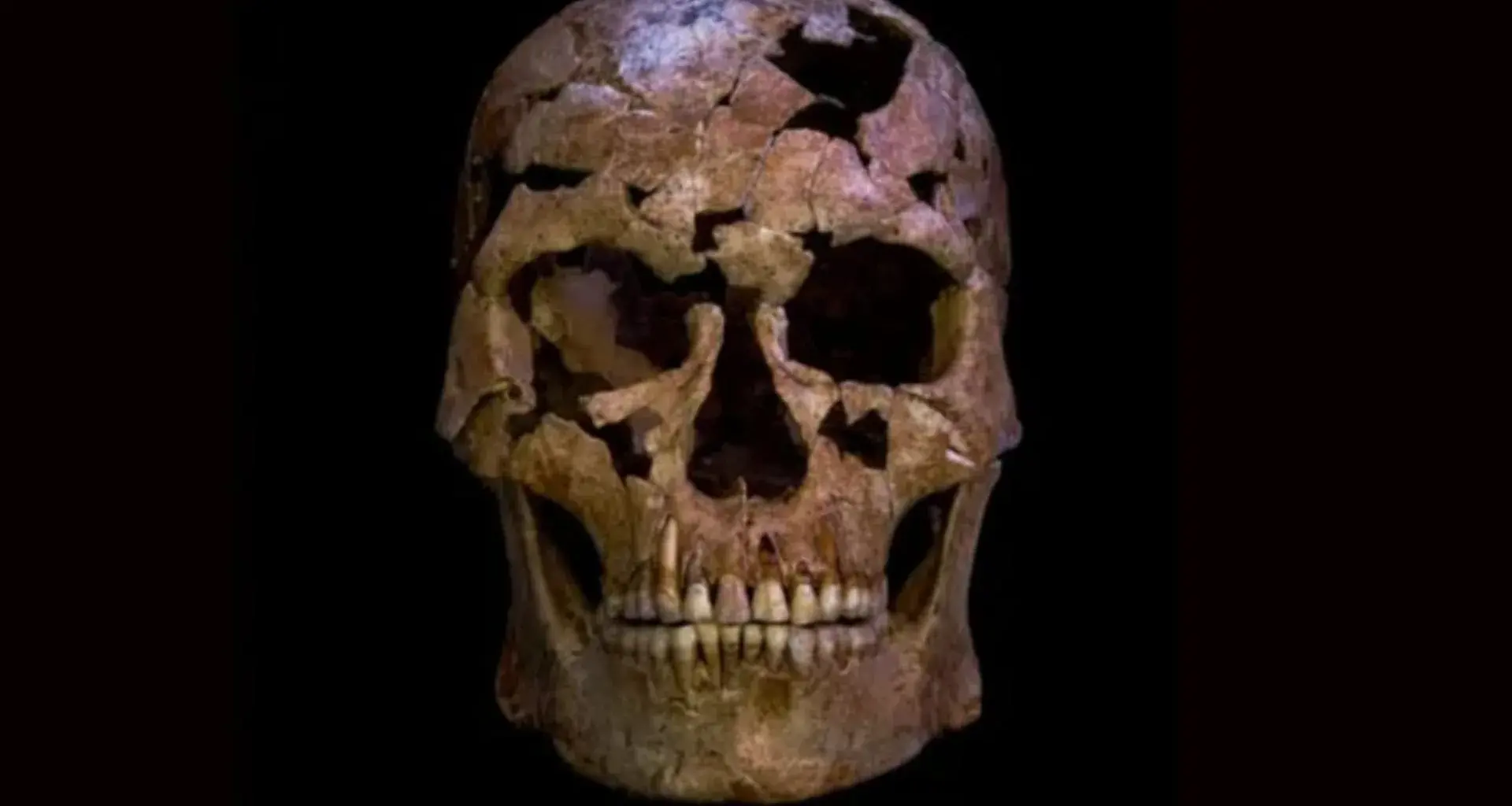 New dating of Greece’s Petralona skull redefines Europe’s human story – The Greek Herald