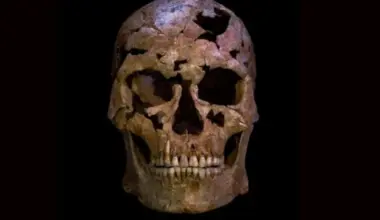 New dating of Greece’s Petralona skull redefines Europe’s human story – The Greek Herald