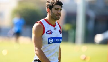 Melbourne and Petracca reportedly "open" to parting ways: AFL trade news - AFL News