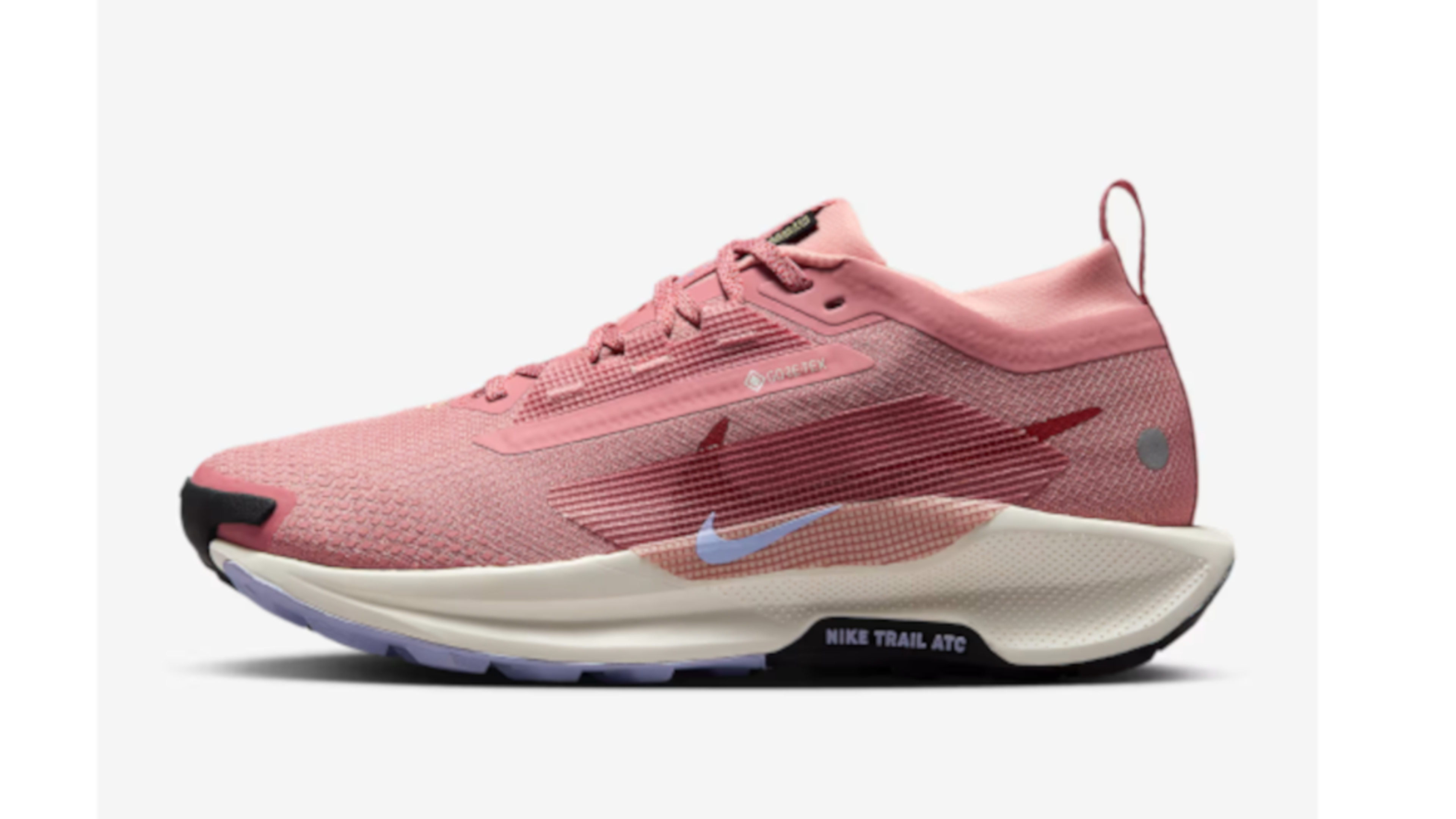 Nike Pegasus Trail 5 GORE-TEX