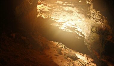 Researchers discover 'ghost' hiding in Australian caves. Here's what's going on